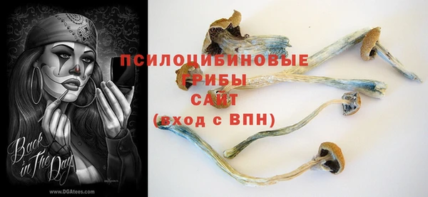 таблы Богородицк