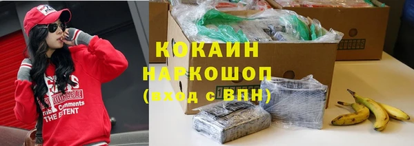 крисы Бугульма