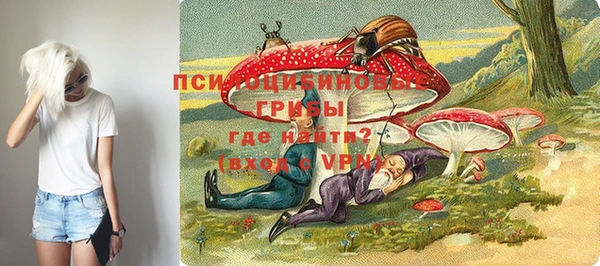таблы Бородино