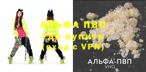spice Богданович
