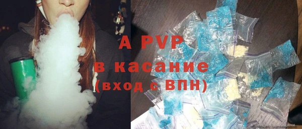 spice Богданович