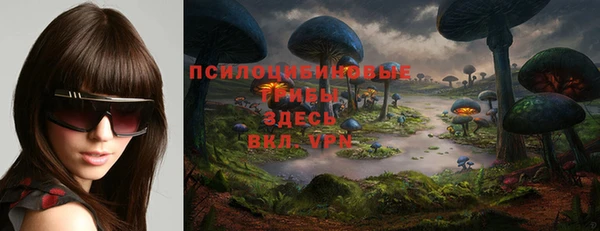 крисы Бугульма