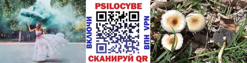 Псилоцибиновые грибы Cubensis Кострома