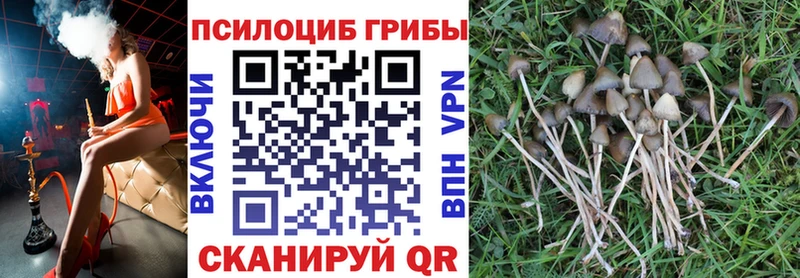 где продают наркотики  Кострома  Галлюциногенные грибы прущие грибы 